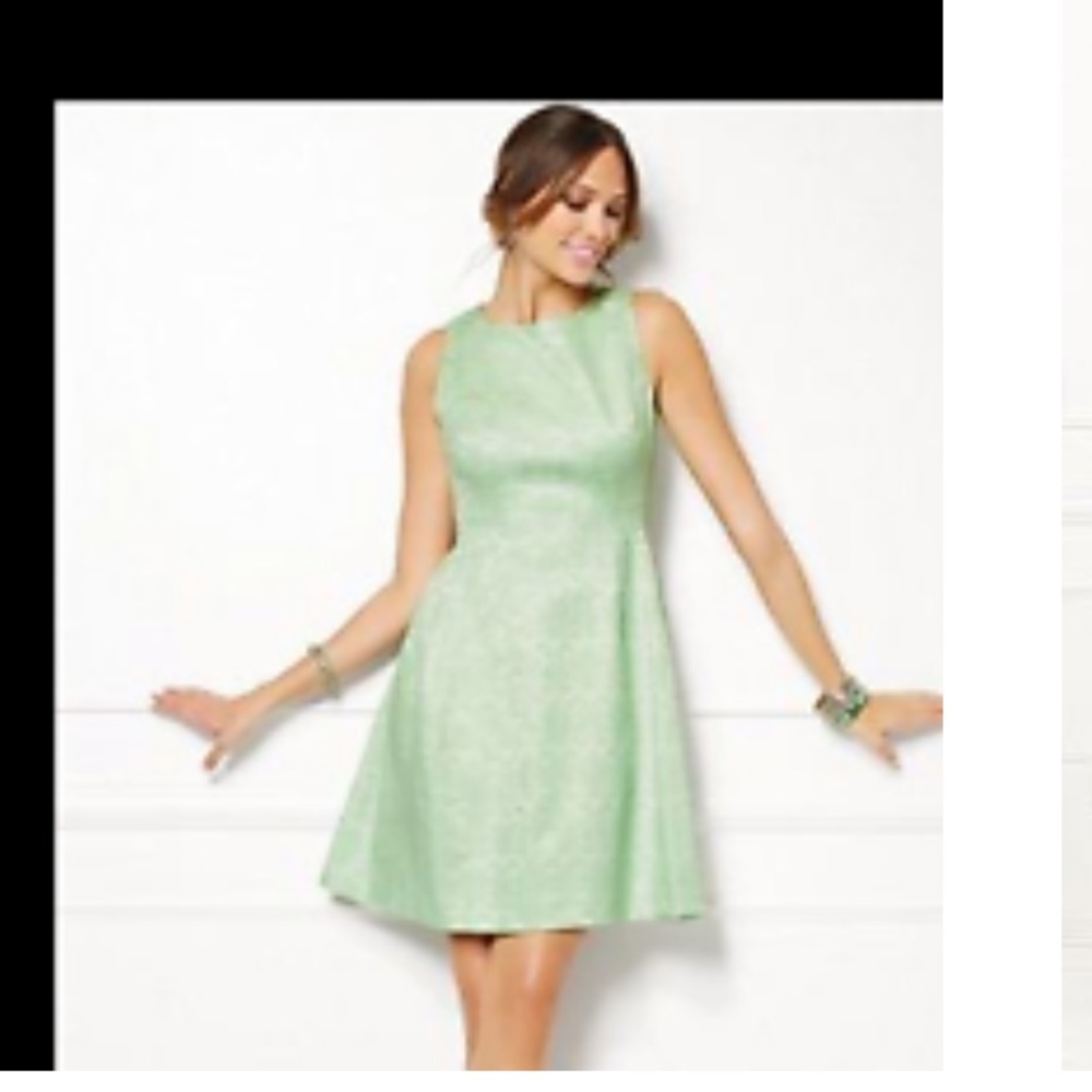 Eva Mendes New York & Co mint green jacquard dress